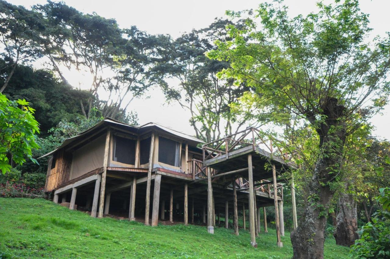 Karama Lodge Arusha Bagian luar foto